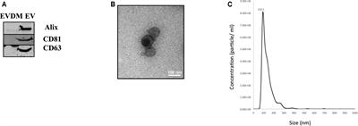 The Human Amnion Epithelial Cell Secretome Decreases Hepatic Fibrosis in Mice with Chronic Liver Fibrosis